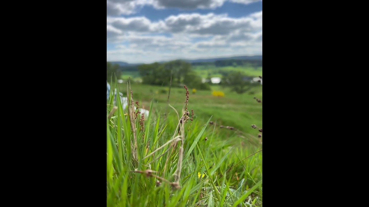 Schleusingen 🇩🇪🇩🇪🇩🇪🇩🇪