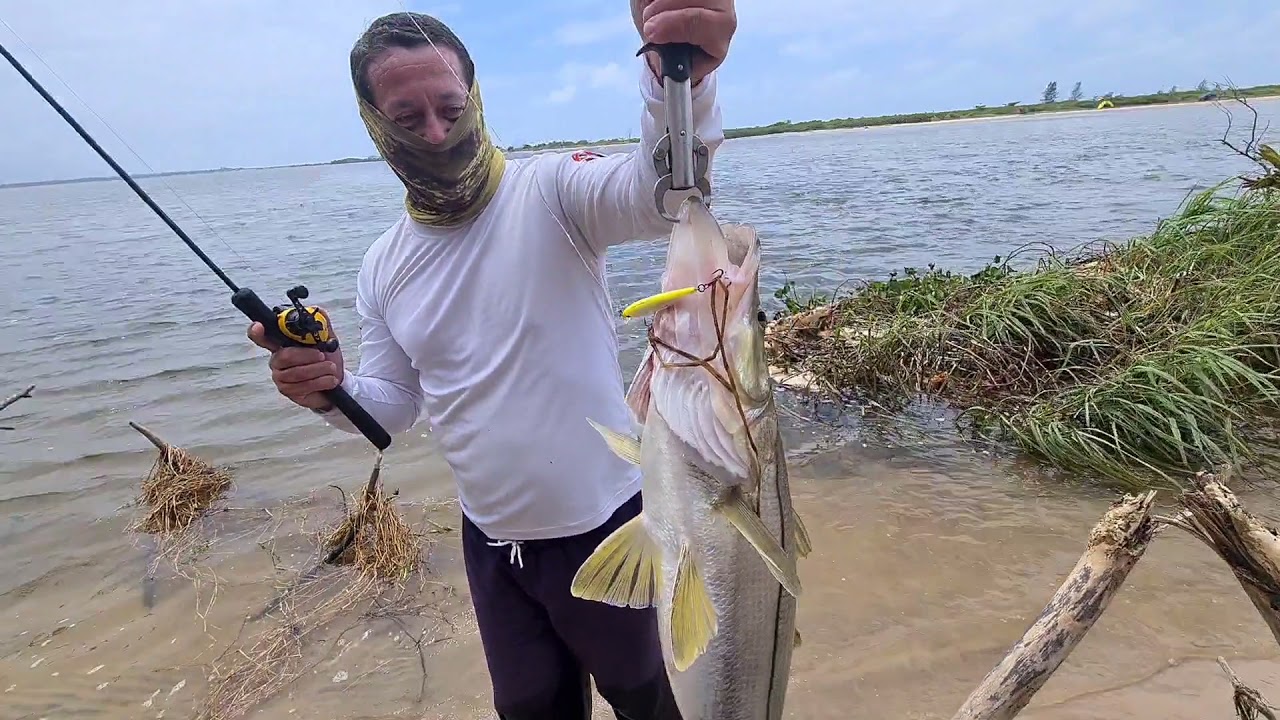 Pescaria de robalo gigante em iguape