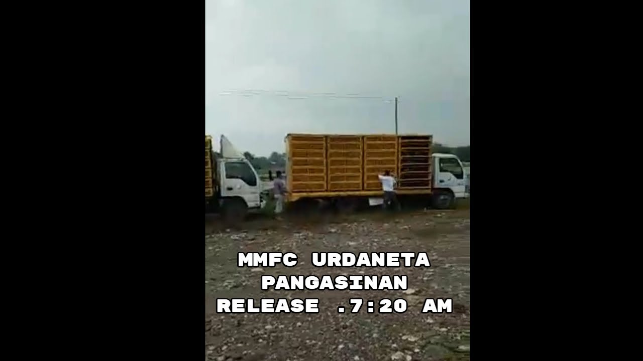 Mmfci. urdaneta pangasinan RELEASE .7:20 AM