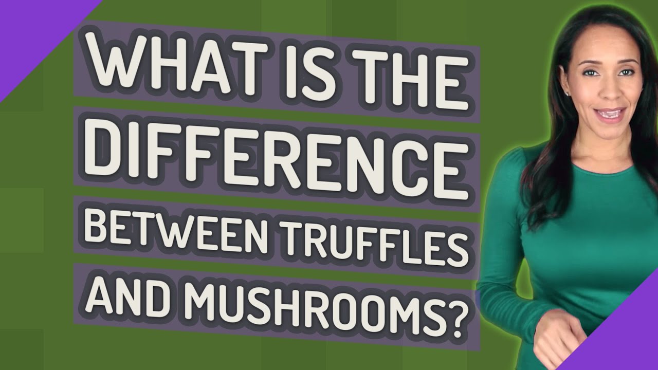 What is the difference between truffles and mushrooms?