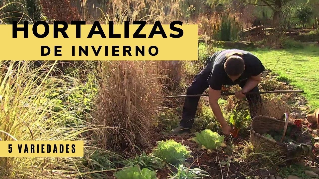 5 hortalizas de invierno en el jardín - Decogarden - Jardinatis