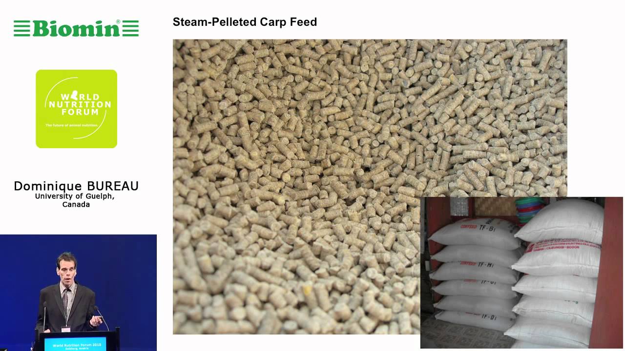 Aquaculture nutrition - working towards better economical and environmental sustainability