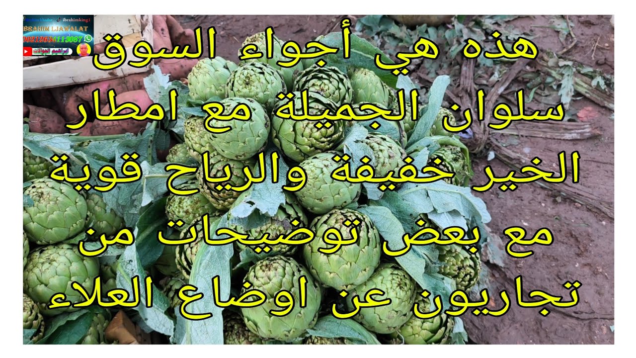 هذه هي أجواء السوق سلوان الجميلة مع امطار الخير خفيفة والريح قوي وبعض توضيحات تجاريون عن الغلا