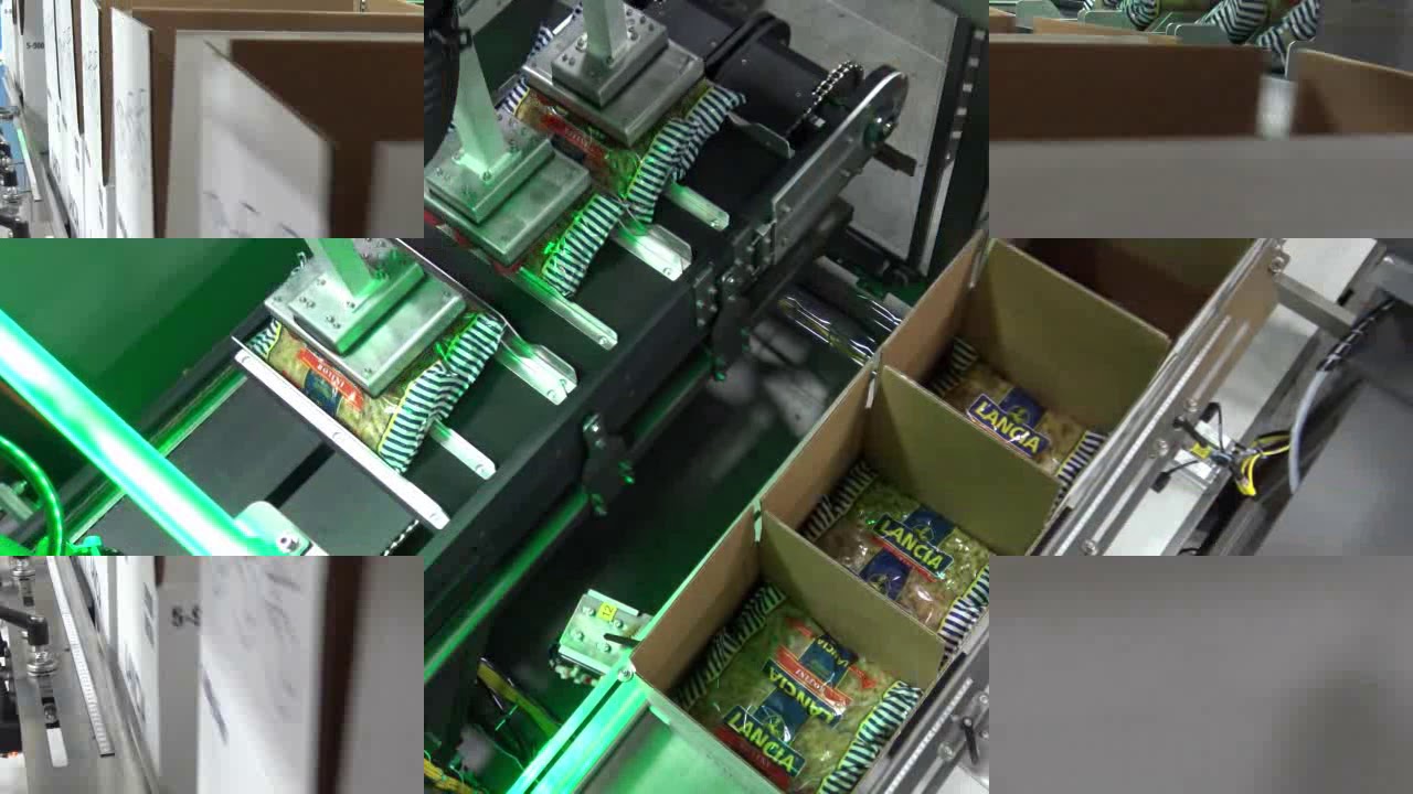 59916 BluePrint Automation (BPA) Case Packer