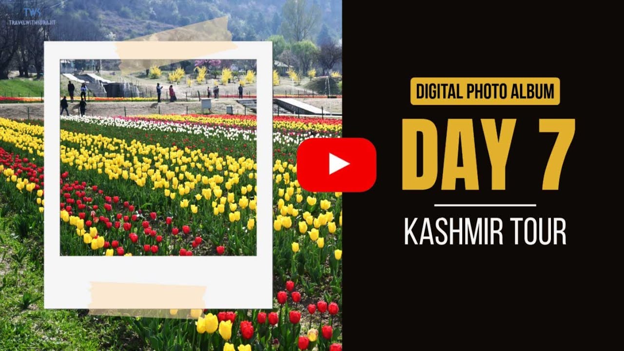📸 Tulip Garden Bliss & Doodhpathri Meadows Walk 🎥 Digital Photo Album 🌄 Kashmir Tour: Day 7