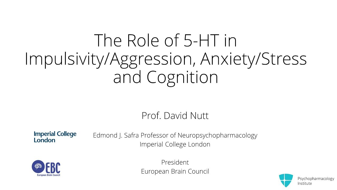 Serotonin's Role: Impulsivity, Aggression, Anxiety, and Cognition