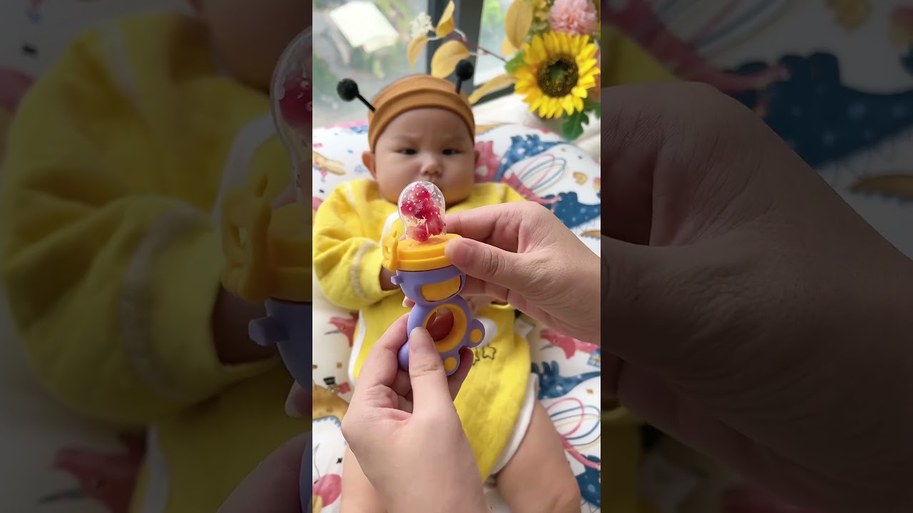 The Baby Fruit Biter Toy &ndash; A Safe and Fun Way for Your Little One to Explore Flavors!#babyfeeding