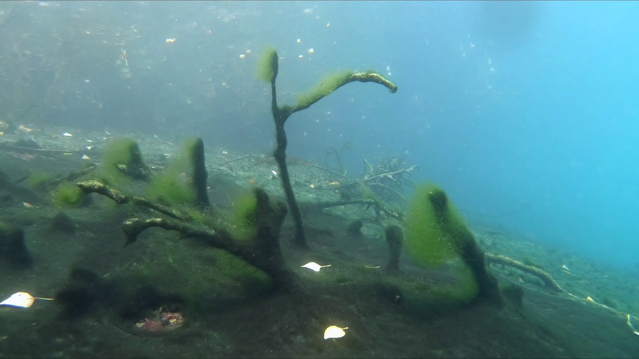 Tauchen im Möwensee/Sundhausen