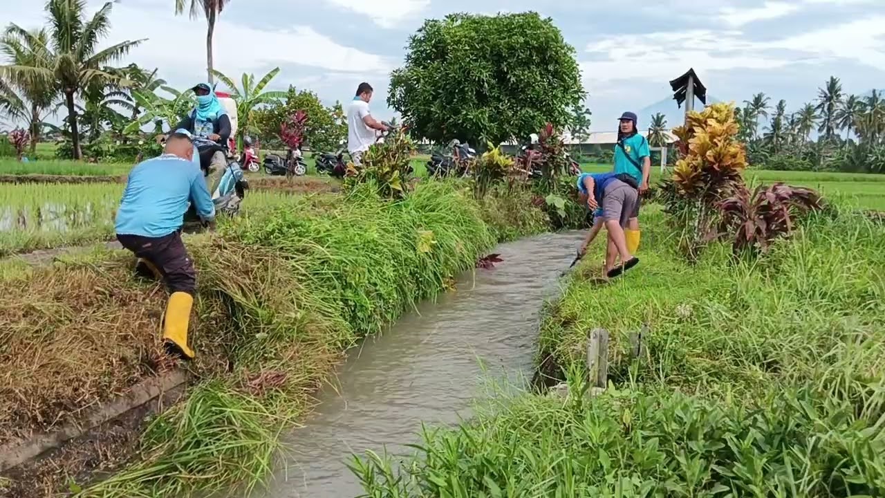 Maintaining irrigations channel: Real work behind the water distribution #Irrigation #river 