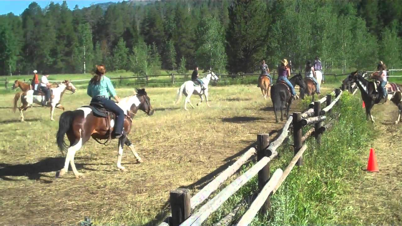 2011 Horse 4-H drill.