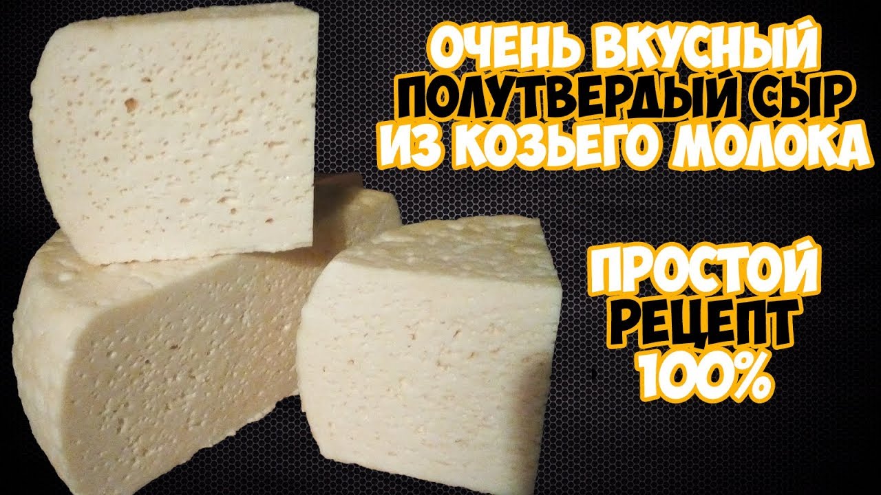 Полутвердый сыр из козьего молока в домашних условиях