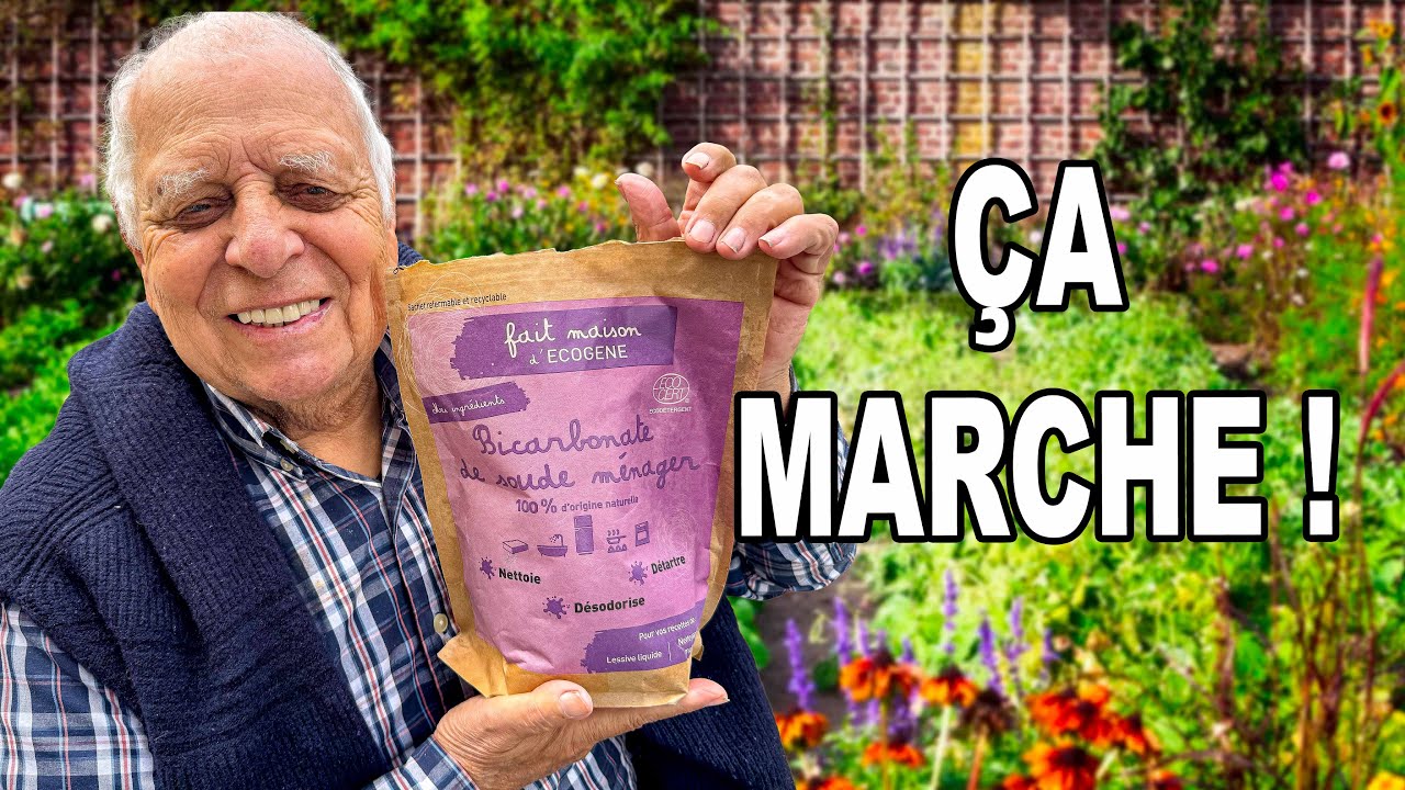Incroyable mais vrai : ce produit fait TOUT ça au jardin !!