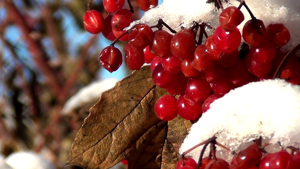 🎄СБОРНИК МУЗЫКИ ДЛЯ ДУШИ🎄,,ЗИМНЯЯ СКАЗКА,,🎄Музыка Сергей Грищук🎄