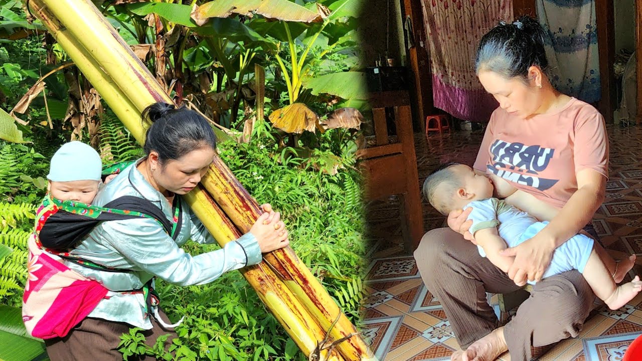 The mother and son had to work very hard to get banana trees to feed the chickens and pigs.