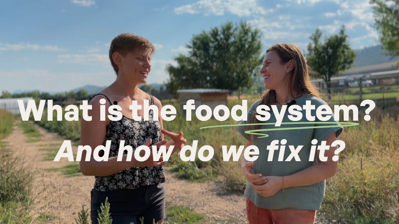 What is the food system? And how can we make it better?