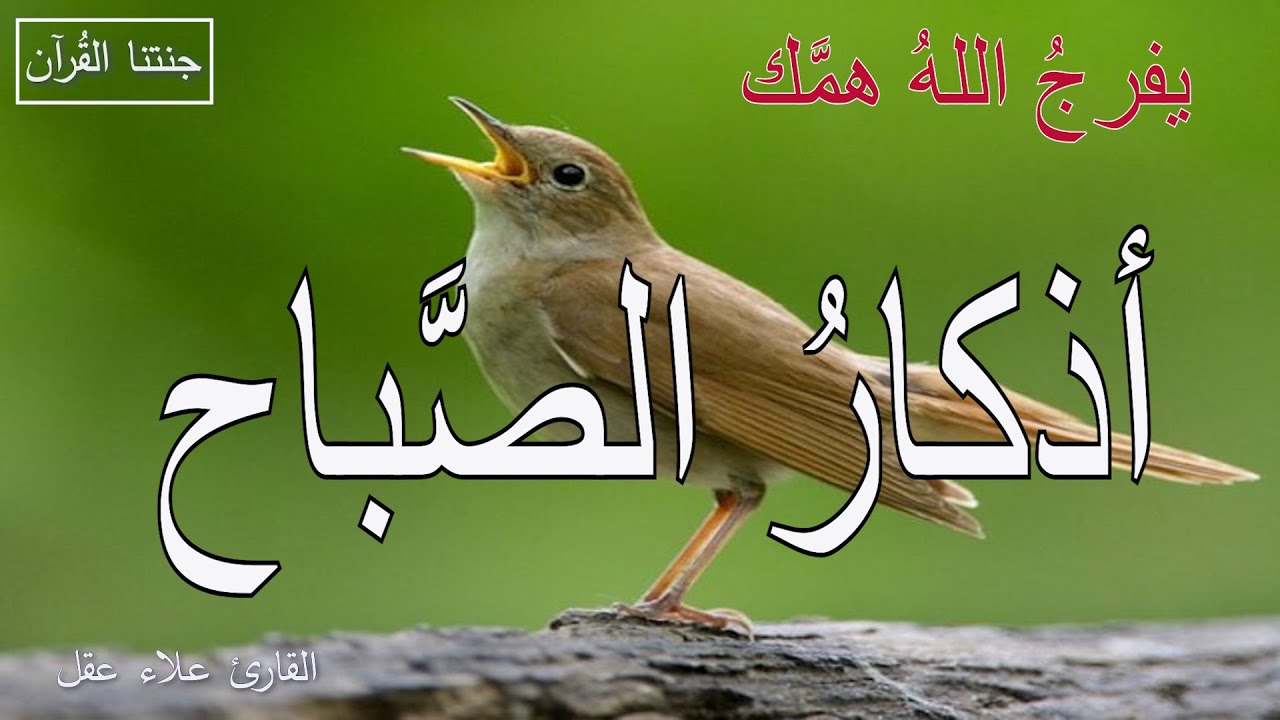 أذكار الصباح | راحة نفسية لا توصف بصوت القارئ علاء عقل | Morning Athkar - Dzkir Pagi