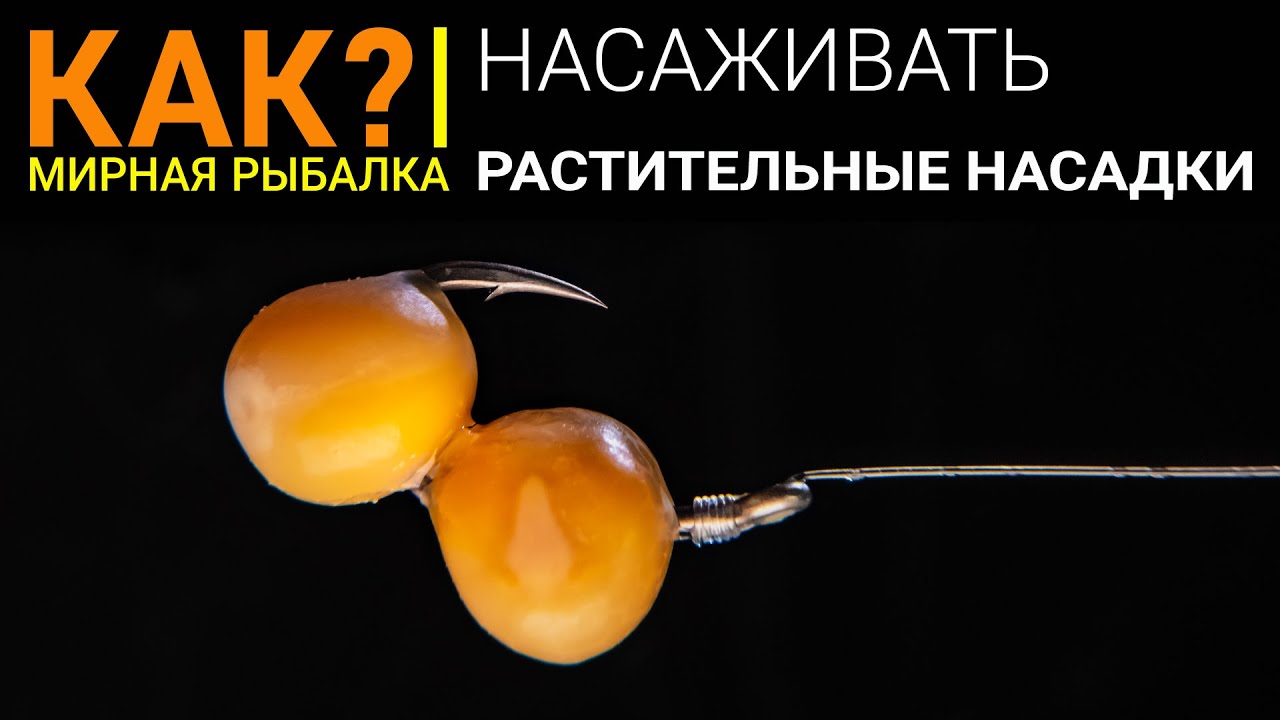 Как правильно насадить на крючок горох, кукурузу, перловку? Растительные насадки.