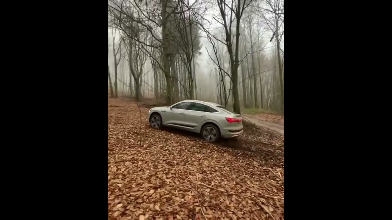 Electric quattro power, Audi e-tron sportback 💪