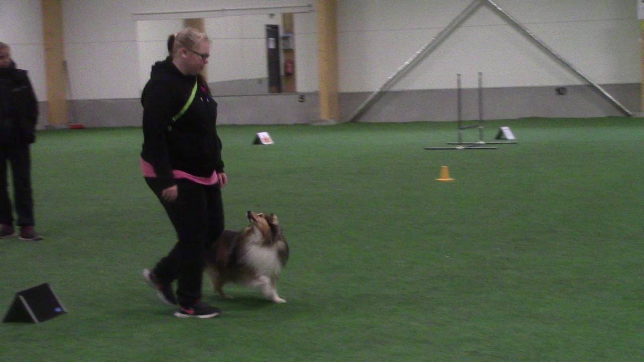 Rudi treenaa: Rally-Tokon ratatreeni