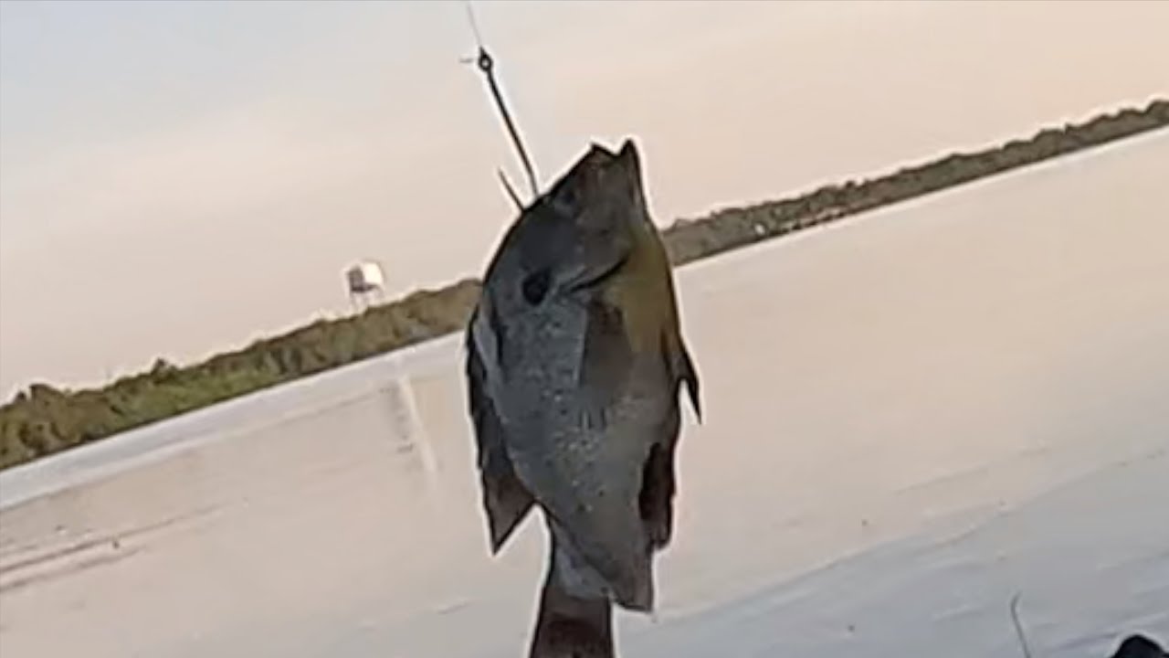 This Stupid Catfish Method Works
