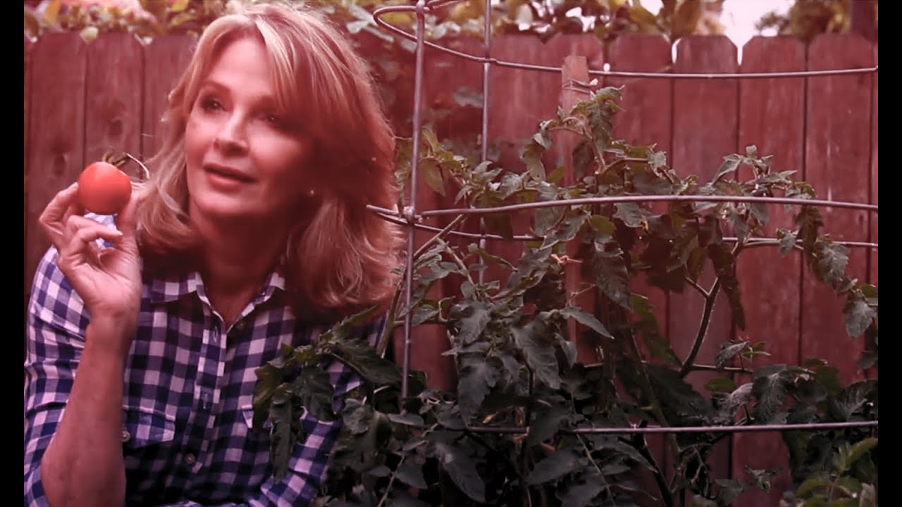 Food Voices: Deidre Hall on Why It's Important to Choose Organic