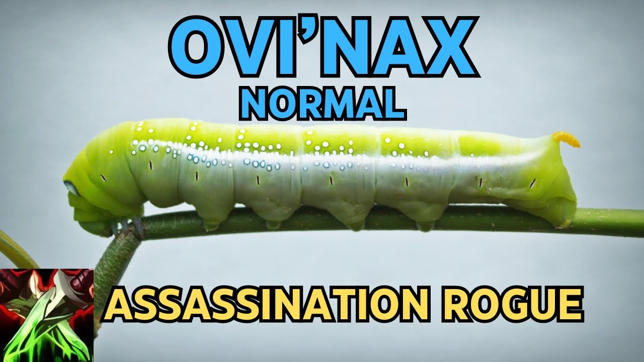 Ovi'nax Normal | Assassination Rogue