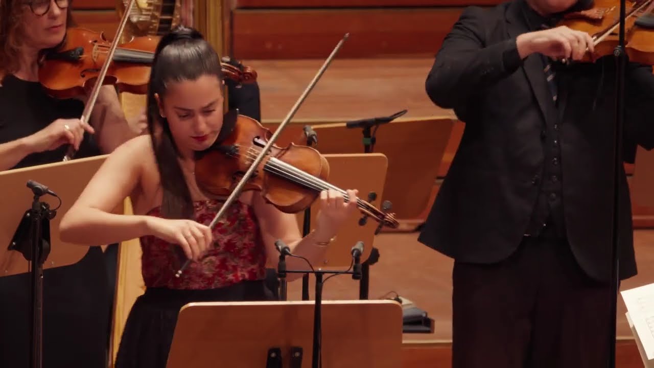Vivaldi's Four Seasons recomposed by Max Richter - Summer 3