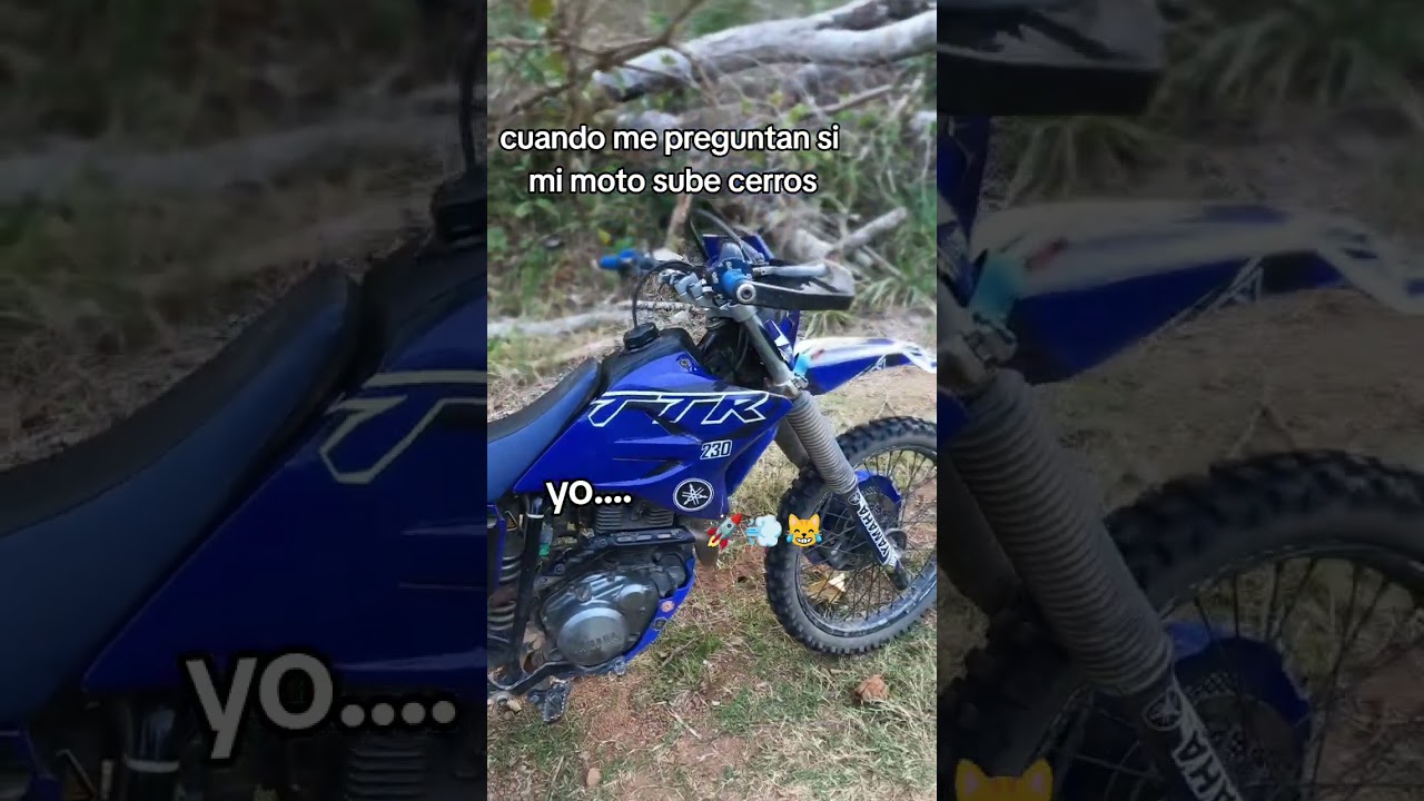Ttr230 