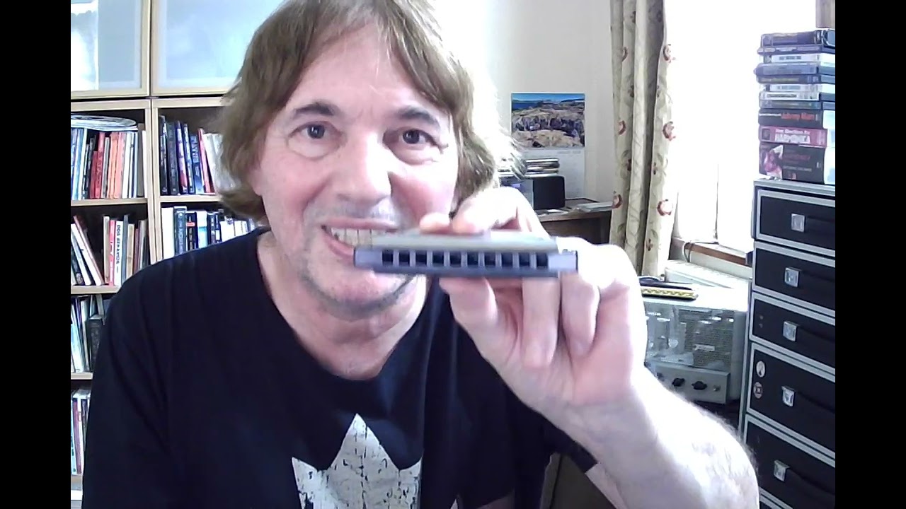 WHICH Blues Harmonica - for BEGINNER