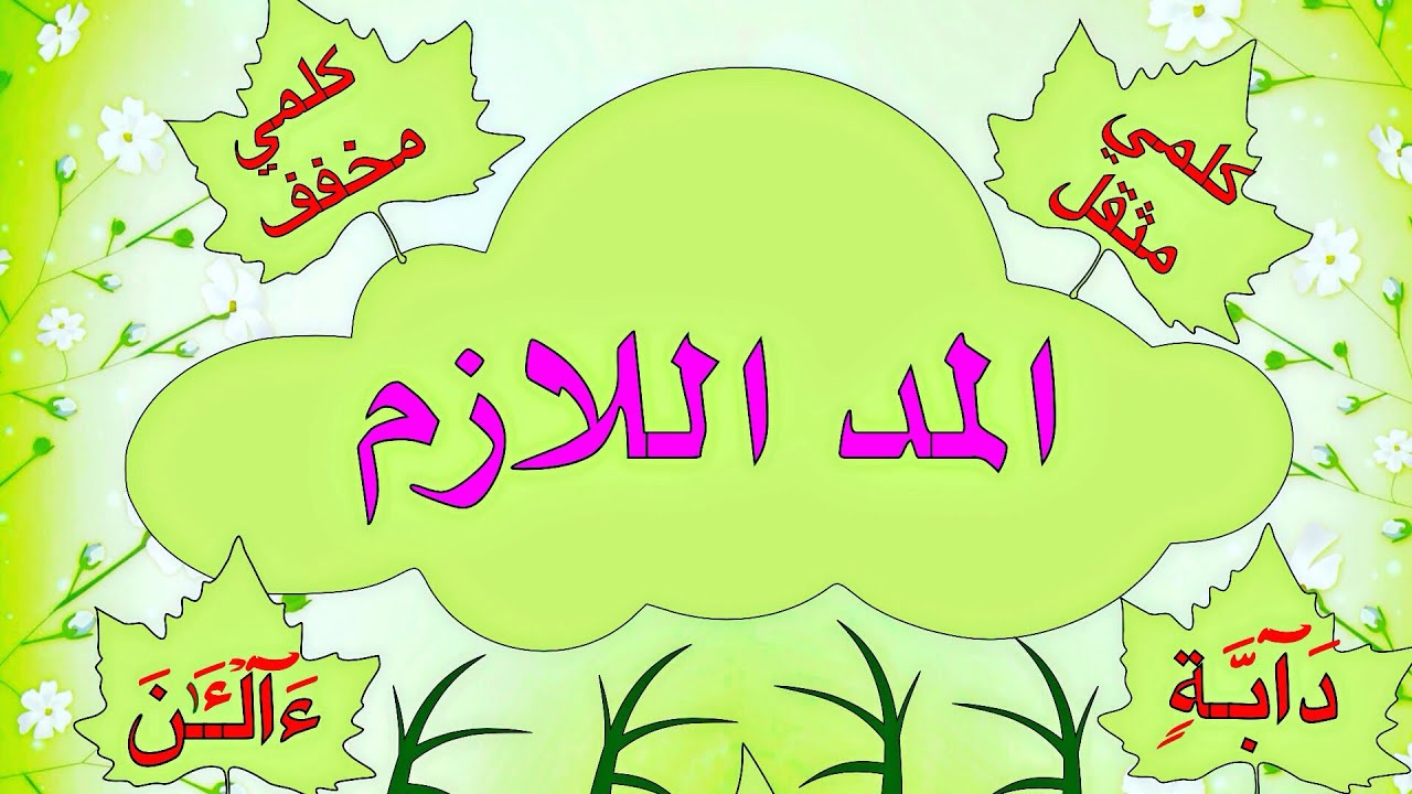 المد اللازم الكلمي المثقل والمخفف بالتفصيل 👌🏽شرح سهل جداً ومبسط 👍