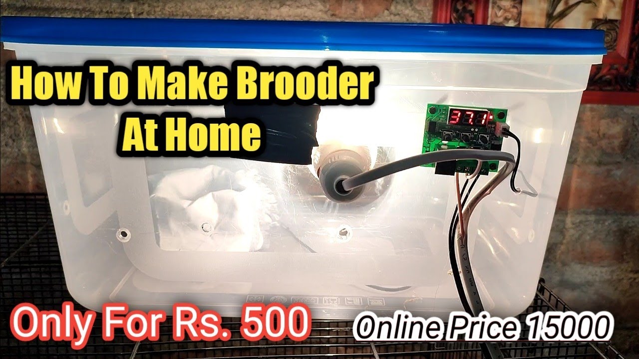How To Make Brooder At Home | सिर्फ 500 रुपे मे ब्रूडर Online Price 15000