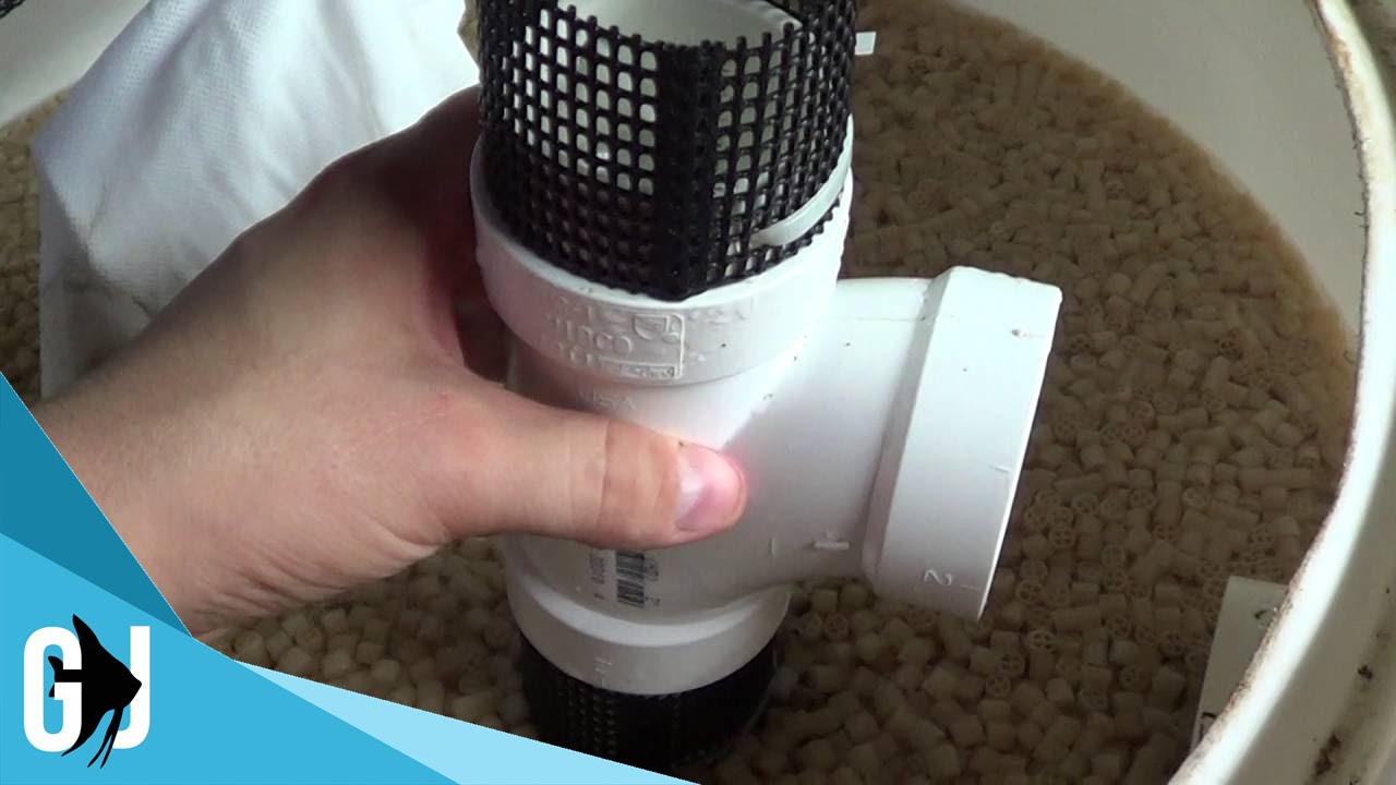 #377: DIY Overflow Screen for Aquarium - DIY Wednesday