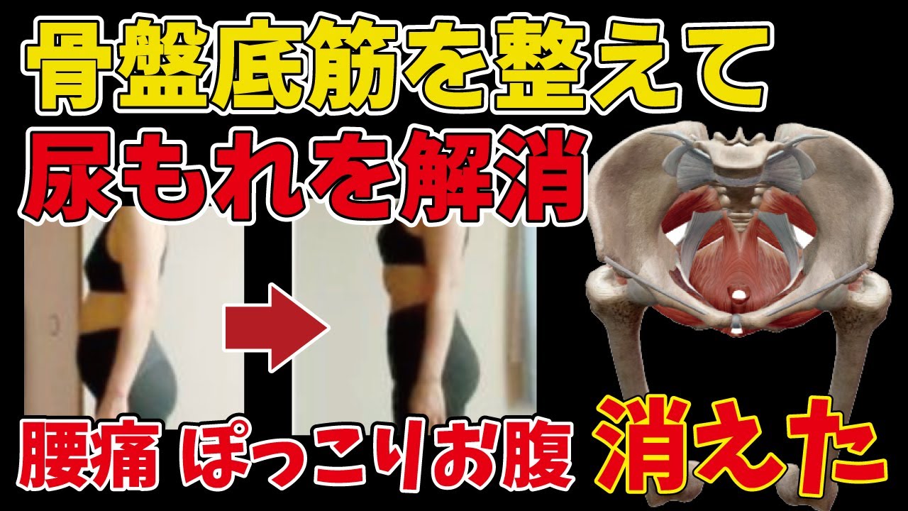 骨盤底筋を整えてぽっこりお腹、尿もれ、骨盤の歪みを解消！