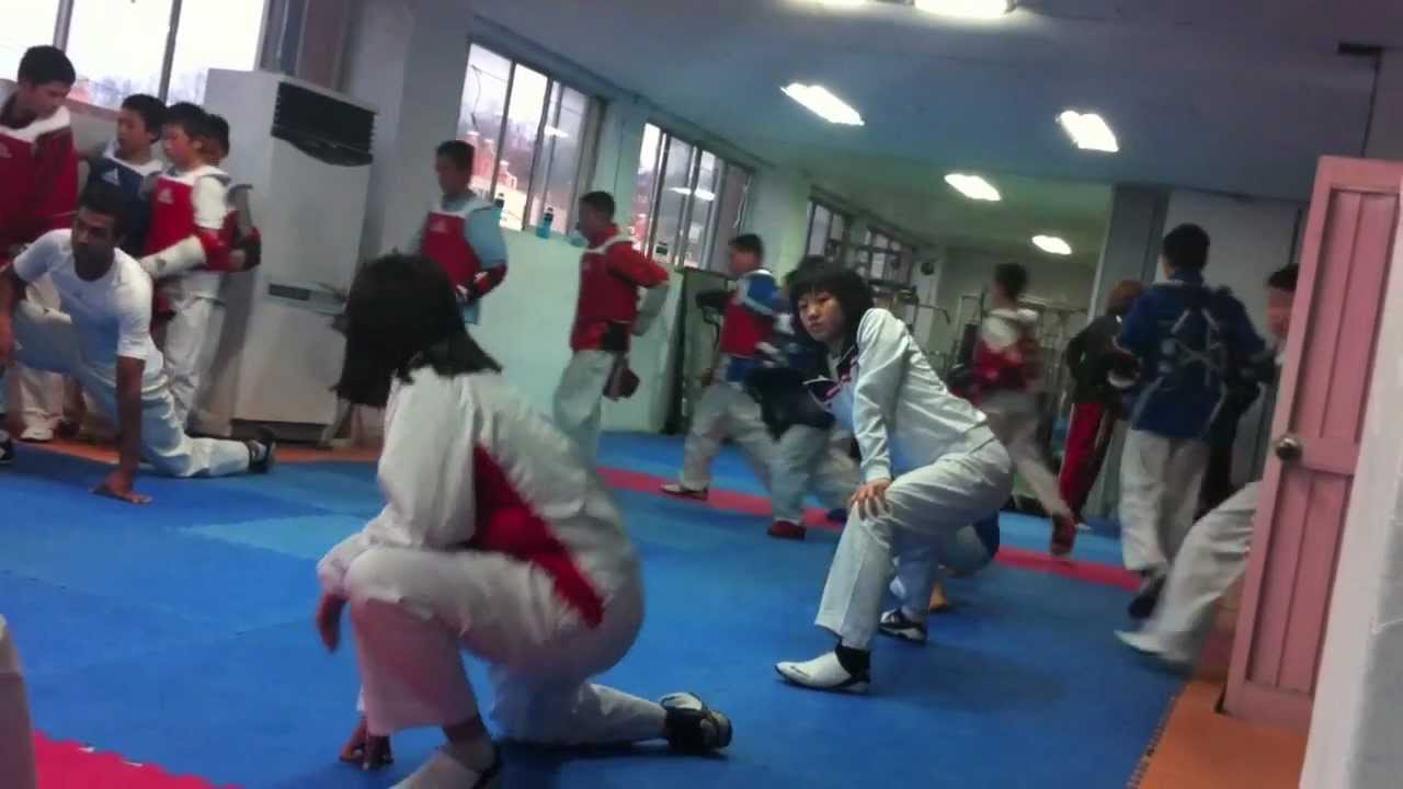 Taekwondo Training Camp in Korea 2011 [No Music]