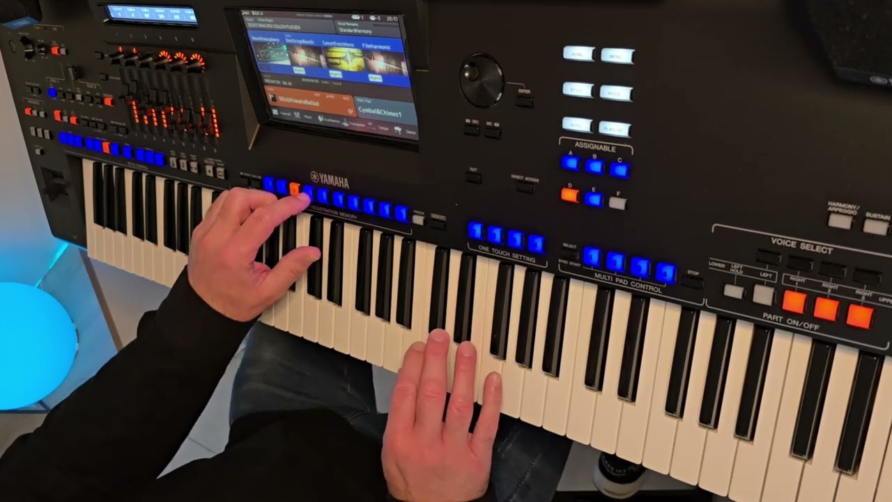 Drachen sollen fliegen ( Pur ) Cover PiddiJo auf Yamaha Genos2