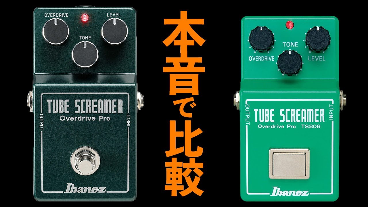 Ibanez TS808HWV2 vs TS808 / 忖度なしの本音で比較 / 高級オーバードライブは買いなのか？？【 AJILOG #137 】
