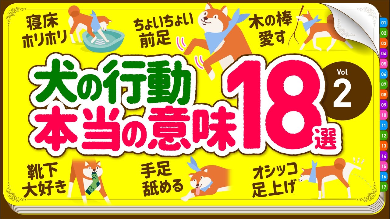 [С субтитрами] Смысл, скрытый в 18 странных поступках собак | ЧАСТЬ 2.