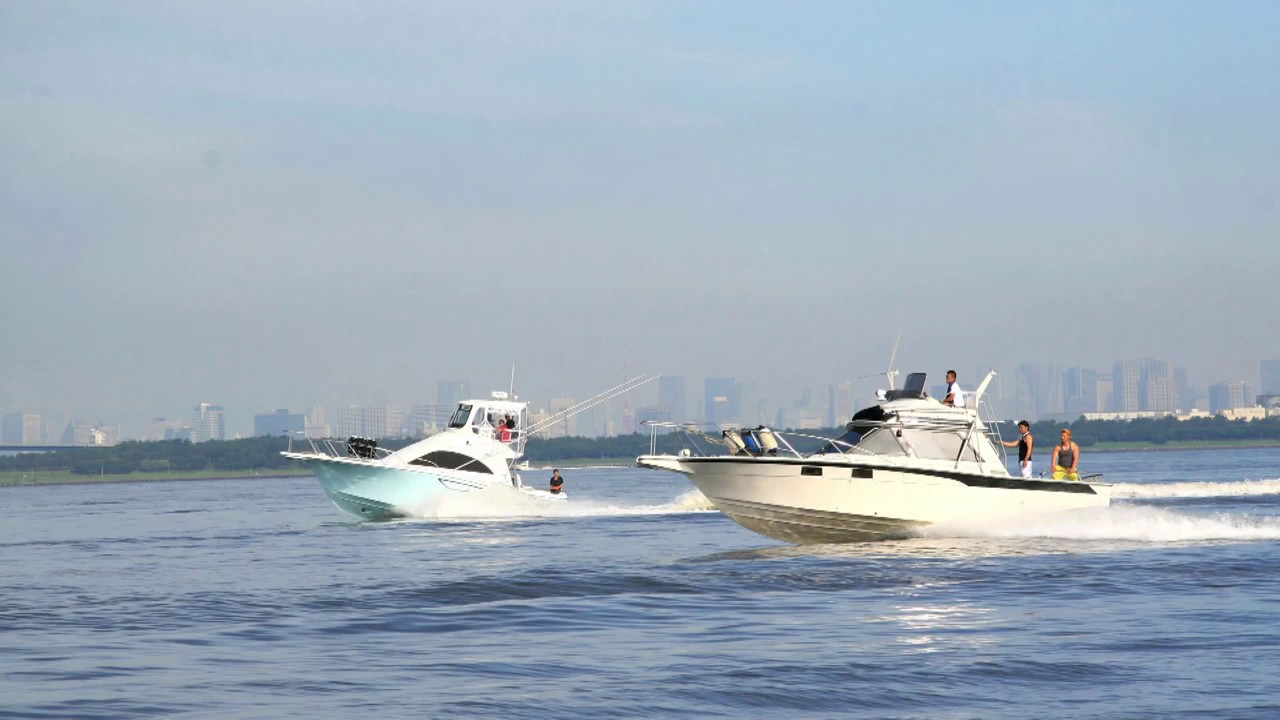 Izumi marine interview
