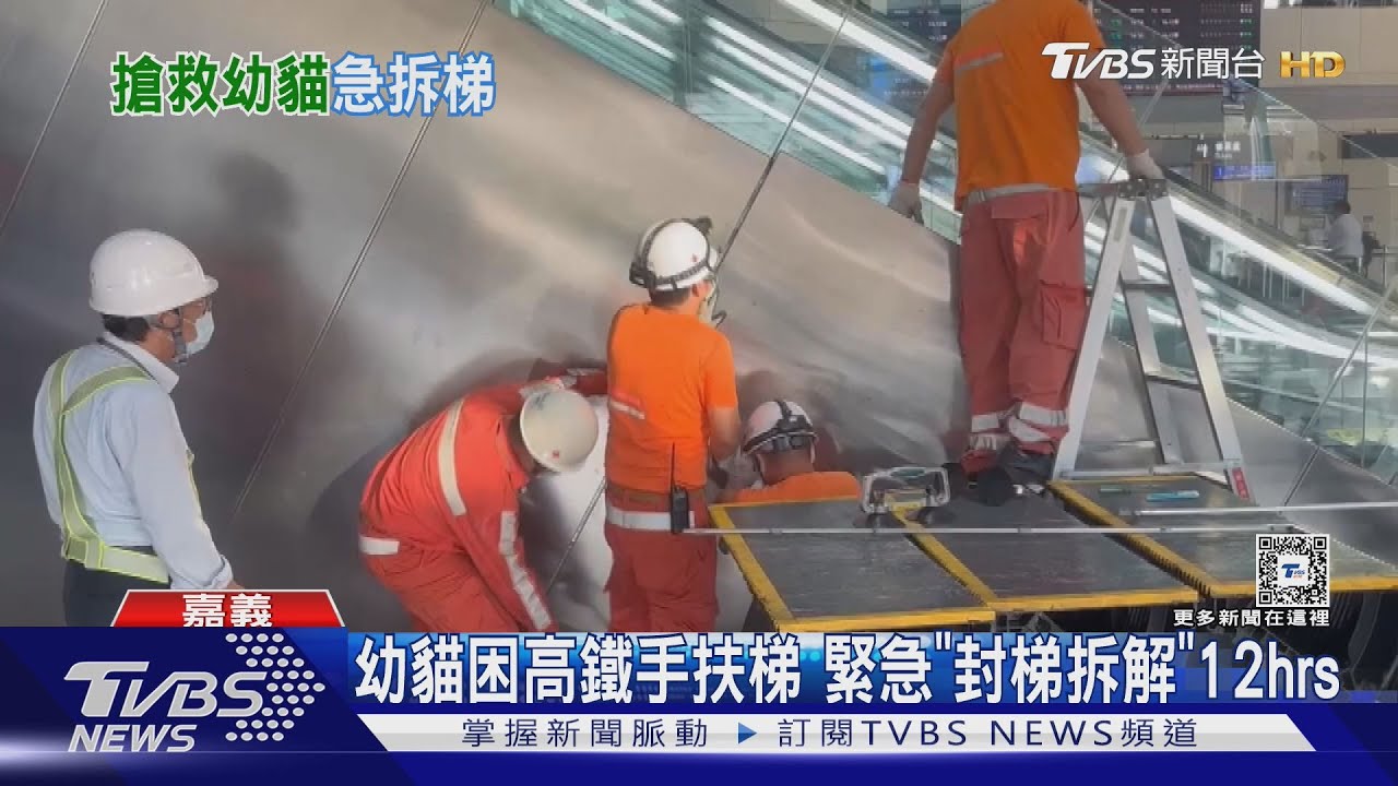 幼貓困高鐵嘉義站手扶梯 緊急「封梯拆解」12hrs｜TVBS新聞 @TVBSNEWS01