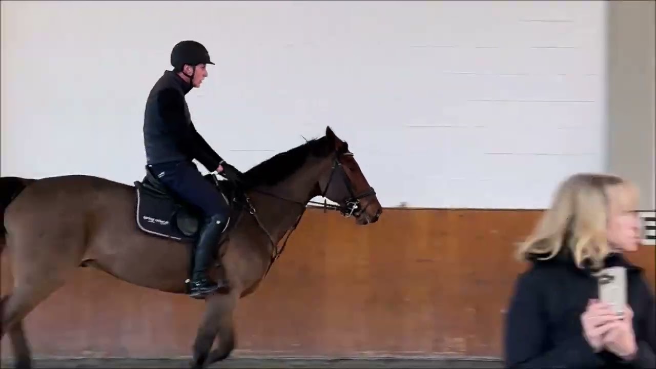 Moritz trainiert mit Svorre bei Tjark Nagel