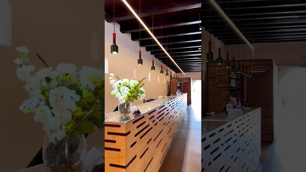 Let's explore Groot Constantia's Visitors Route Experience