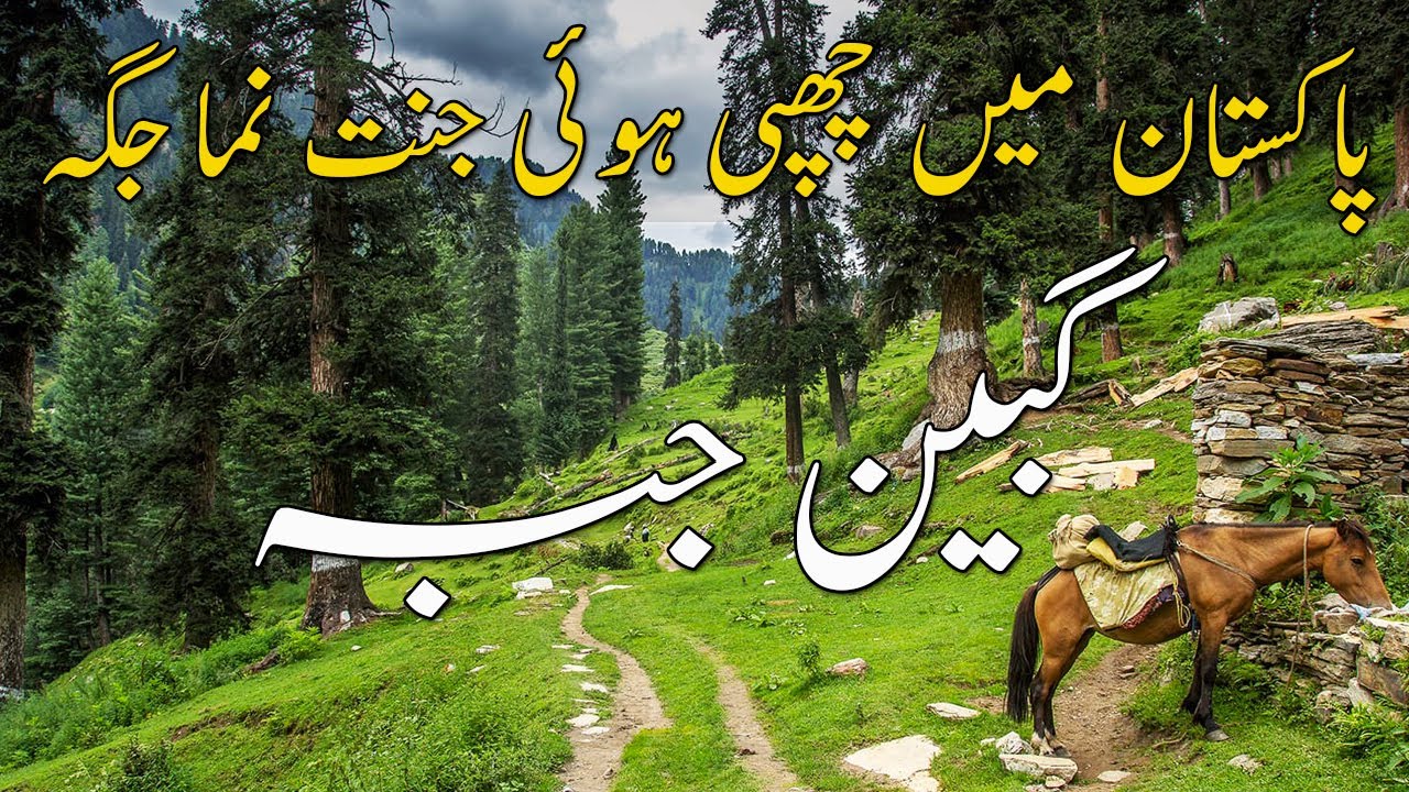 Gabin Jabba | Paradise of Pakistan | Swat Valley | Gabin Jabba Road Conditions | Travel Guide