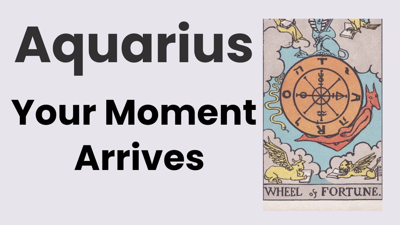 Aquarius A Portal Opens And You Are Meant To Walk Through! 🩷 February 2nd – 9th Weekly Tarot
