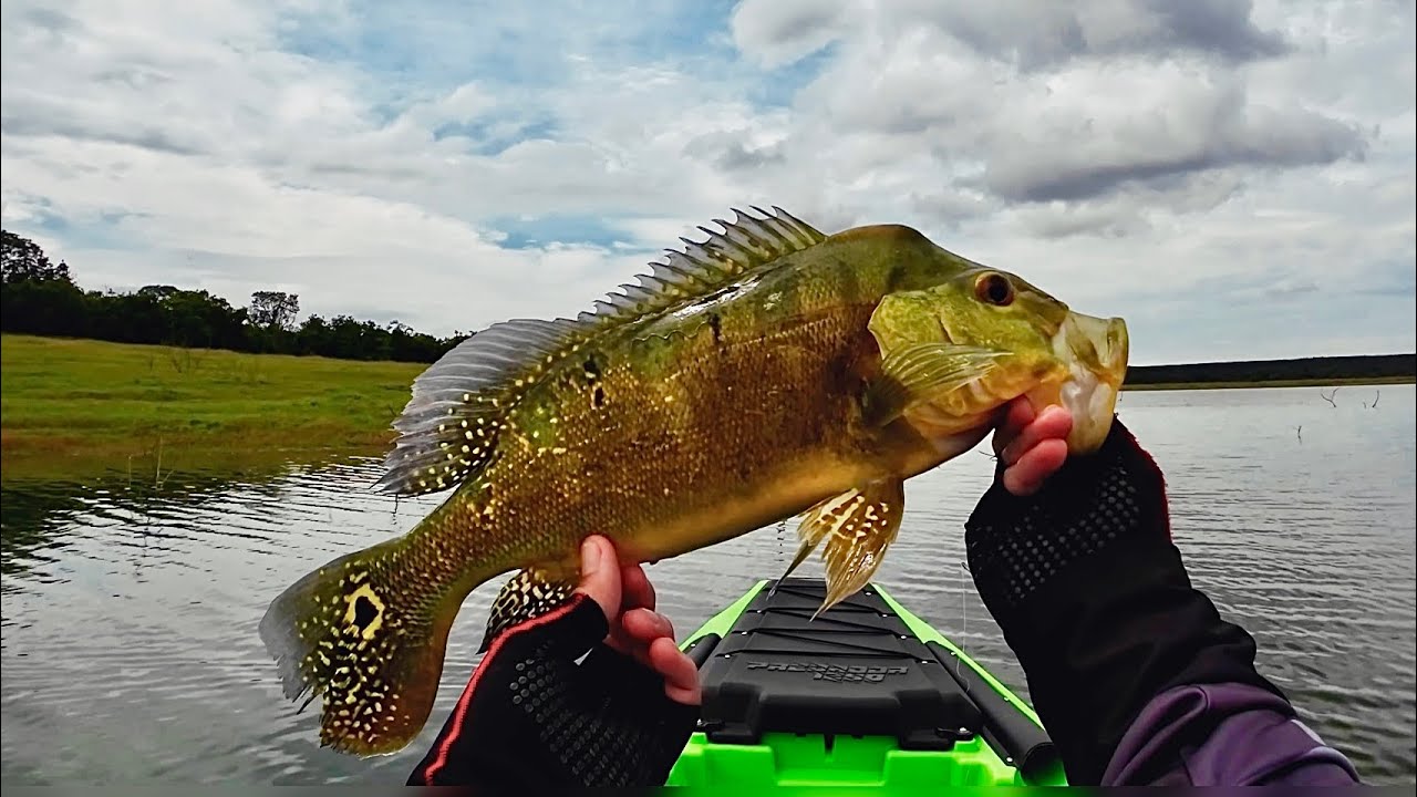 TRÊS MARIAS | PESCA ESPORTIVA