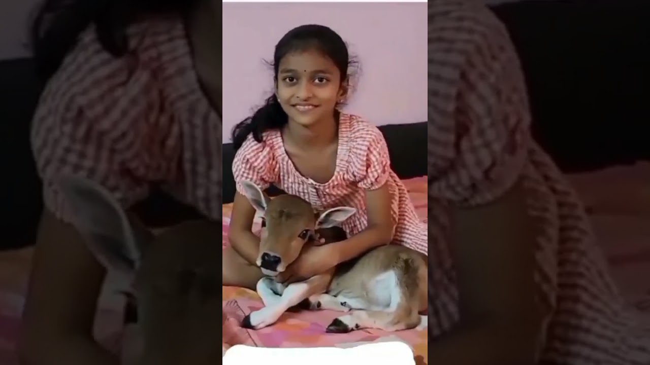 DIL KHUSH HO JAYE । #DIL KHUSH HO JAYE #Dil#YOUTUBESHORTVIDEO #SHORTS VIDEO