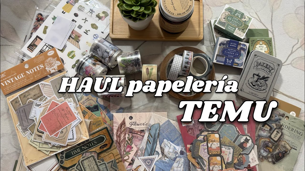 HAUL papeleria TEMU