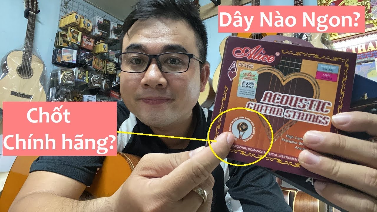 Dây Nào Ngon? Chính Hãng?  Dây Đàn Classic Alice AC 139 hay Acoustic Aw 466
