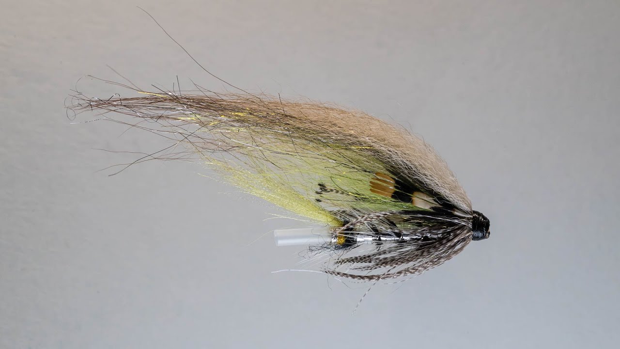 Silver Grey putkiperho, Perhonsidonta - Mikko Halonen