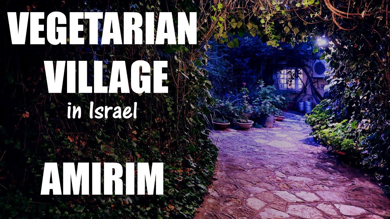 VEGETARIAN VILLAGE-Amirim, exploring the North of Israel (אמירים, ישראל)