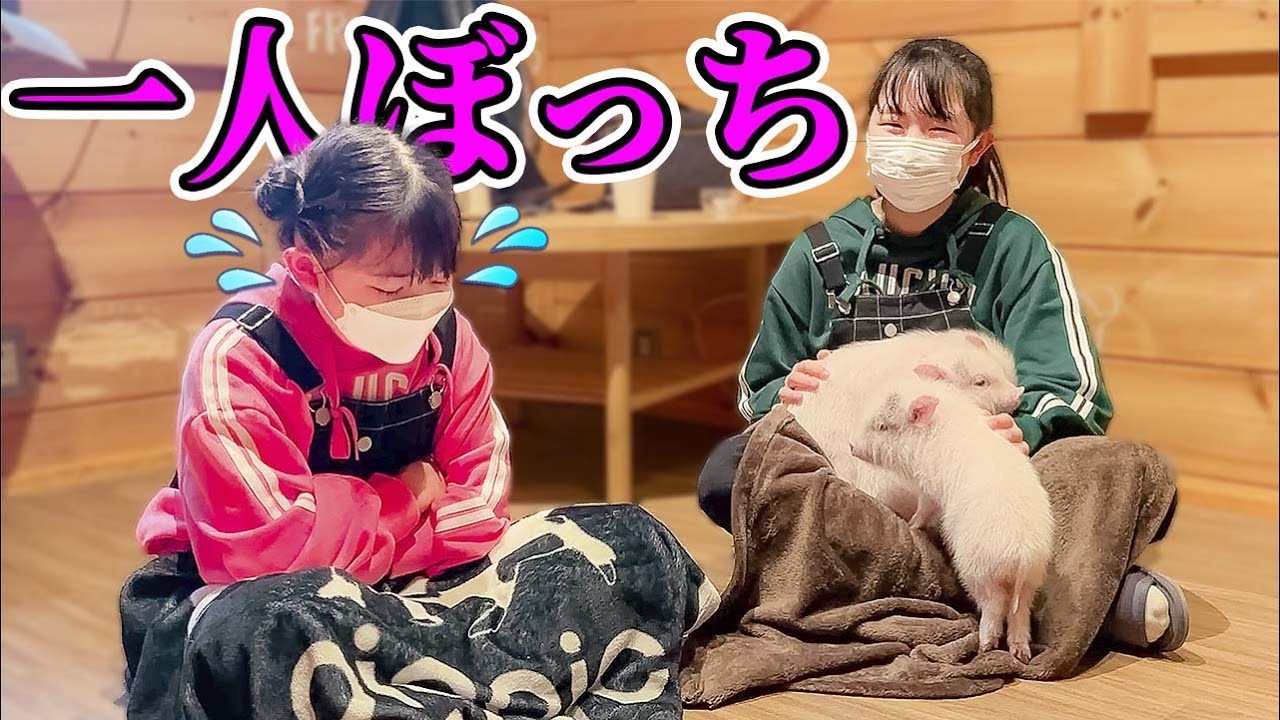 一人ぼっちになった！だれも来ない！ - はねまりチャンネル